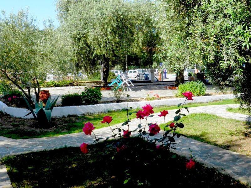 Asterias Studios Астрис Экстерьер фото